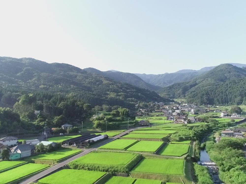 彩里周辺の田園風景